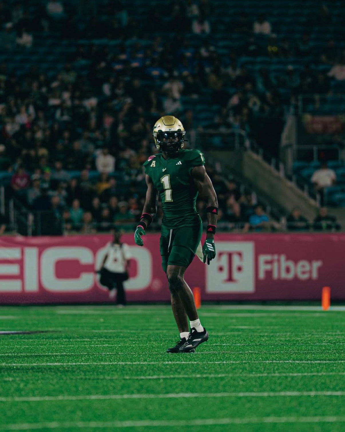 USF Photo Preset