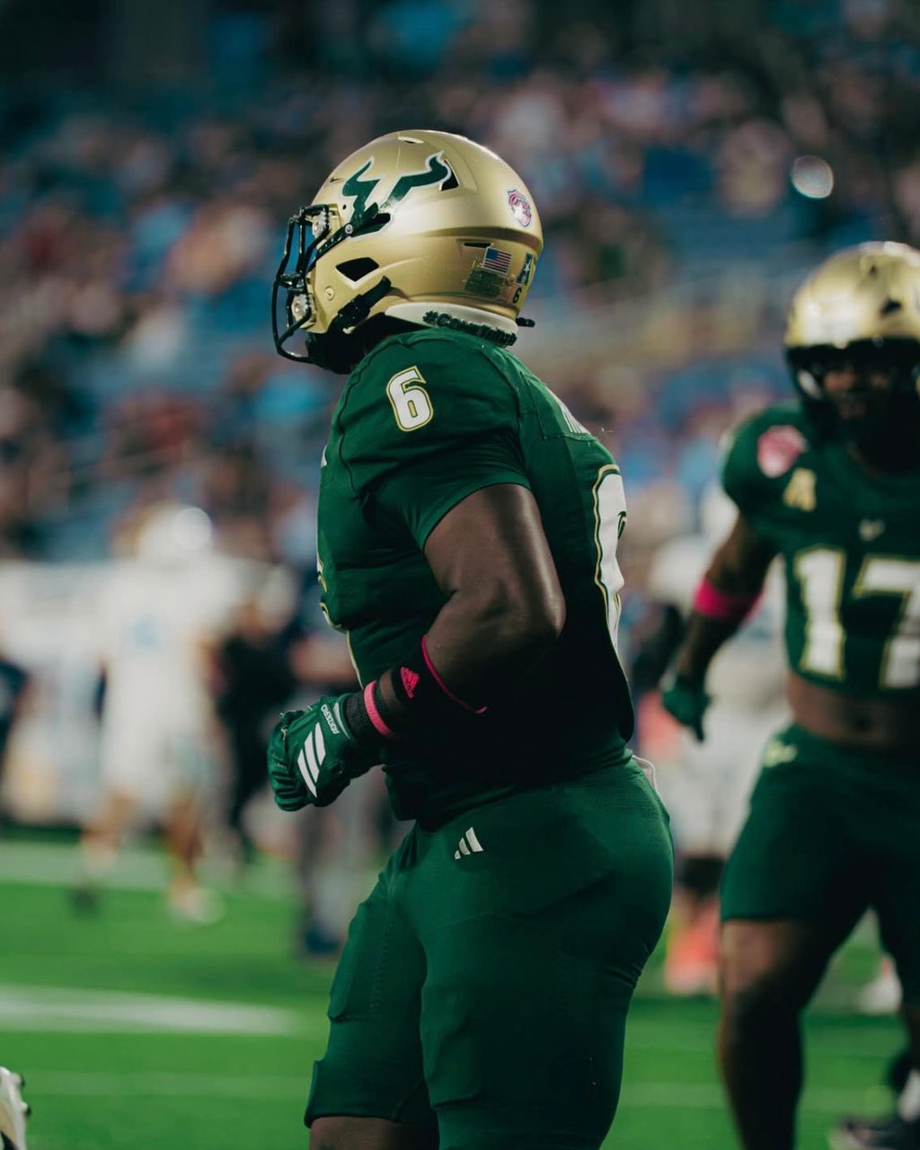 USF Photo Preset