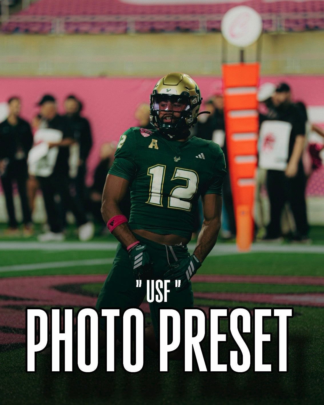 ALL in ONE Photo Preset Pack